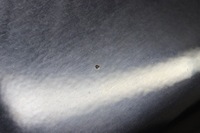 фото thumb №7, Дверь правый перед bmw 5 e60 e61 carbonschwarz 416