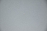 фото thumb №8, Капот кришка двигуна opel insignia a