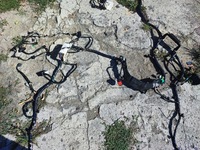 фото thumb №8, Ford s-max mk1 2.0 tdci джгут салону підлога eu