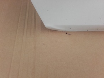 фото thumb №3, Дверь левая передние перед toyota yaris iv 19r- 67002-k0020