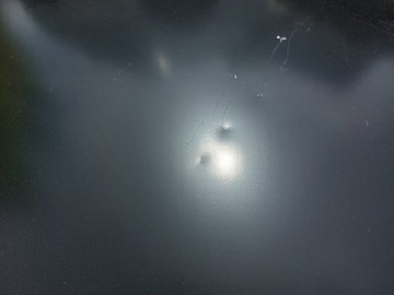 фото thumb №7, Крыло зад правые верхняя запчасть обшивка jumpy expert iii proace vivaro c l3