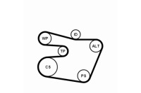 фото thumb №1, Набір ремені багаторучейкових з ролики bmw 3 e46 5 e39 7 e38 z3 e36