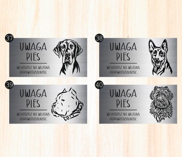 Tabliczka 20x10 cm UWAGA PIES Doberman LAMINAT Z GRAWEREM