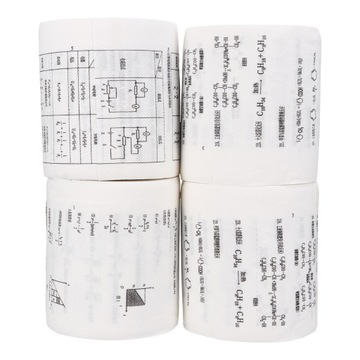 ZABAWNA FORMUŁA PAPIER TOALETOWY DOM
