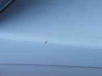 фото thumb №8, Защита стойка a левая 735488117 fiat grande punto evo 1.2 benz 70km