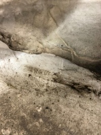 Бампер задні задній mercedes c-klasa w203 універсал a2038850925 Ціна, фото thumb