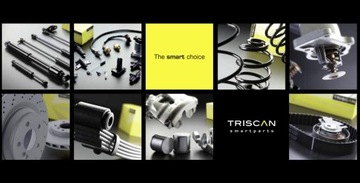 TRISCAN SPRING STEP FIAT DUCATO CITROEN JUMPER 06- IVECO DAILY
