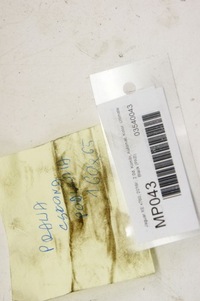 фото thumb №5, Mp043 jaguar xe x760 защита плита шасси правая