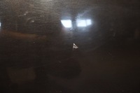 фото thumb №4, Двері лівий задня renault laguna iii nv676 kombi