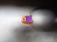 фото thumb №5, Vw tiguan i 5n 07- дверь перед правое передние