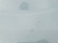 фото thumb №11, Nissan cube z11 02-08 крила передній лівий