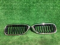 фото thumb №1, Решітка радіатора решітка решітка радіатора права ліва комплект bmw 5 g30 g31