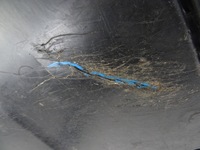 фото thumb №7, Arona захист pod двигун 2q0825236e 2q0825236f