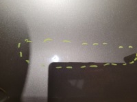 фото thumb №9, Renault scenic 3 iii 09-16r двері праве передні