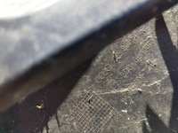 фото thumb №11, Audi a4 s4 b6 8e 8h 2003 задній бампер 8e807511