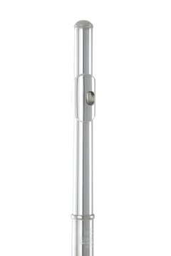 Roy Benson FL-402E C Поперечная флейта