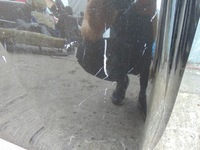 фото thumb №5, Капот крышка двигателя peugeot 508 1