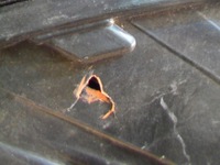 фото thumb №11, Skoda kodiaq 566 16- full led правая перед