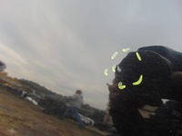 фото thumb №6, Двері правий задня citroen c4 ii чорні ktv