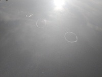 фото thumb №8, Капот volvo xc60 ii 2 31416606 оригінал сіра giełda po