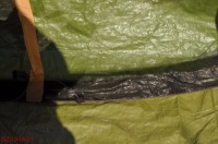 фото thumb №13, Скло лобове підігрівається датчик vw e-up! up 2013