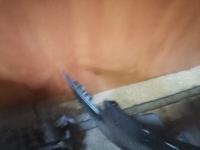 Купить Бампер перед audi plus решётка радиатора a4 b8 przedlift ly9b, фото thumb