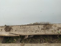 фото thumb №10, Двері задня лівий skoda superb ii 3t0 08-15 sedan