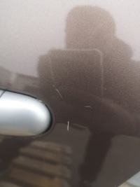 фото thumb №11, Дверь левая задние renault grand scenic iii оригинал лак tecnb