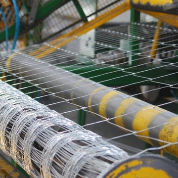 Лесная сеть 100 см 100 м Zinc + Персонал 200 ПК для бесплатного 100/10/30 л.