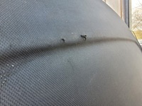 фото thumb №3, Полиця задня задня opel insignia a hb 08-13