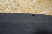 фото thumb №9, Полиця багажника opel astra h 5d