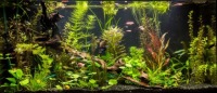 Светодиодная лампа PLANT для растений, 70 см, аквариум GROW 1:1