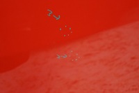 фото thumb №12, Двері правий перед opel corsa d 3d z547