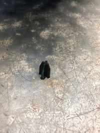 фото thumb №11, Volvo s60 v60 ii комплектна лампа правий перед передня full led mid eu