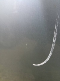 фото thumb №3, Двері праве перед toyota scion tc i 2004-2010