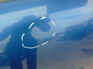 фото thumb №6, Капот кришка двигуна vw transporter t5 рестайлінг