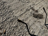 фото thumb №6, Шланг труба трубка wąż пального porsche carrera 911 996 3.4