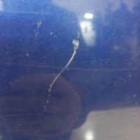 фото thumb №2, Капот renault clio 3