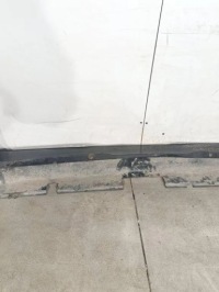 фото thumb №10, Бампер задний citroën jumpy 1497608077 2009