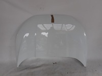 фото thumb №1, Ford ecosport lift 17- капот кришка двигуна