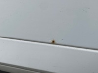 фото thumb №6, Двері лівий задня seat exeo sedan 08-14 lb9a