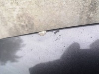 фото thumb №5, Капот кришка двигуна lexus ls ls460 iv 2006-