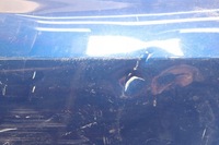 фото thumb №3, Tesla модель 3 2017- дверь правые задние 1081440-e0-c