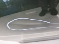 фото thumb №6, Seat leon ii дверь левый задняя lw6x