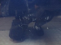 фото thumb №3, Дверь правый перед opel meriva a z21b