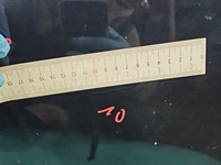 фото thumb №12, Двері задня ліва kia optima iv 15- kombi 5d чорний b4u