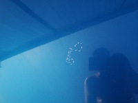 фото thumb №8, Капот крышка двигателя peugeot 207 06-12