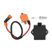 фото thumb №5, Набір свічка запалювання котушки запалювання cdi