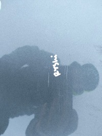 фото thumb №8, Капот кришка двигуна citroen c3 picasso колір kthc 2008-2012 оригінал