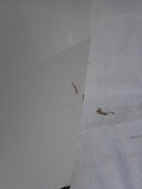 фото thumb №10, Vw crafter ii 2 man tge 16- двері задня задні праве